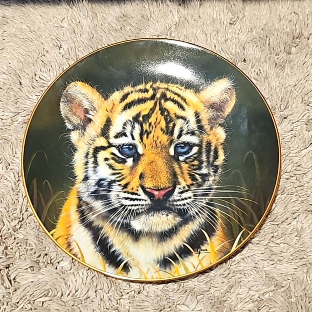 ✨️Princeton Gallery Cubs of Big Cats Collection Plate Tiger Cub Limited